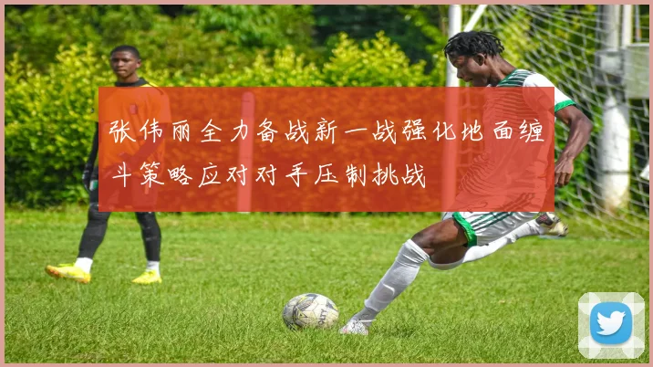 张伟丽全力备战新一战强化地面缠斗策略应对对手压制挑战