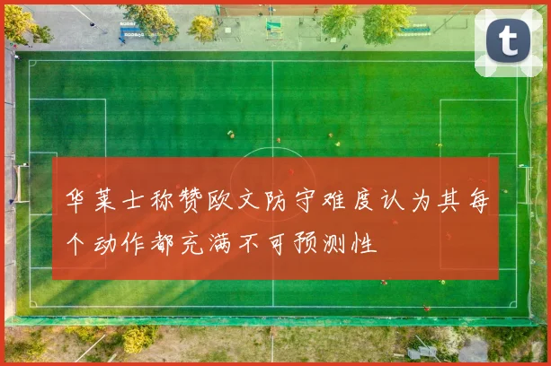 华莱士称赞欧文防守难度认为其每个动作都充满不可预测性